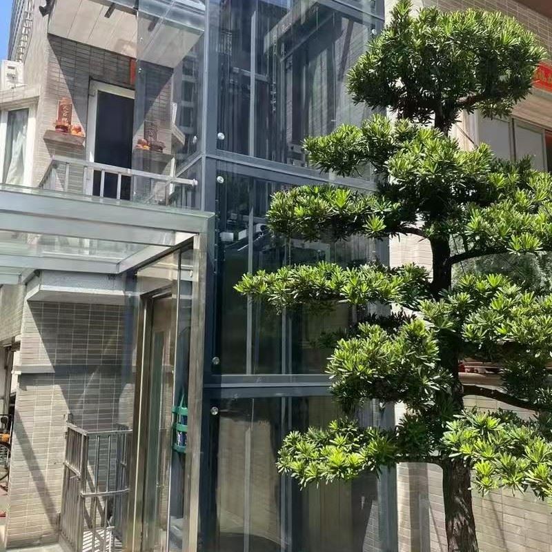 Outdoor Panoramic Elevator suppliers